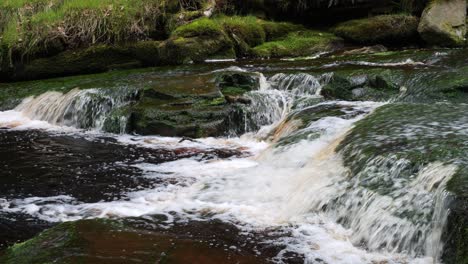 Slow-moving-forest-stream-waterfall,-nature's-serenity-scene-with-tranquil-pool-below,-lush-greenery-and-moss-covered-stones,-sense-of-peacefulness-and-untouched-beauty-of-nature-in-forest-ecosystem