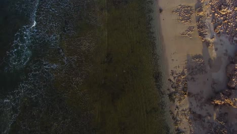 Shallow-water-and-rocky-coastline,-aerial