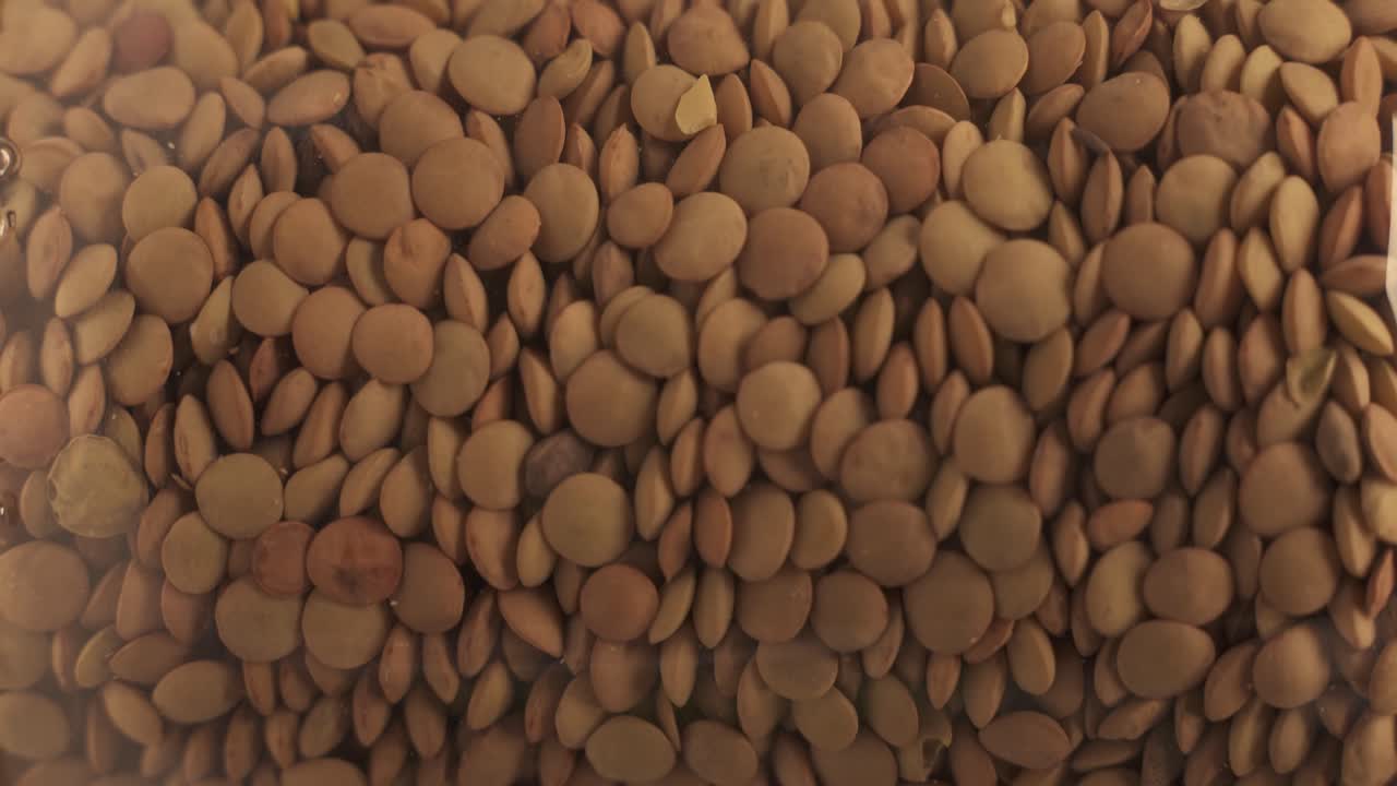 nærbillede af organiske linser på turntable-platformen