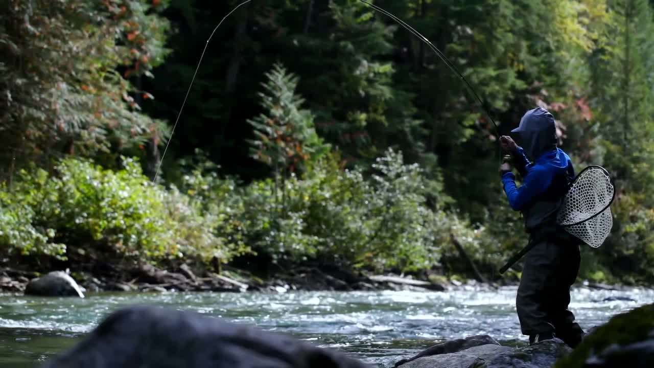 Vista laterale di pescatore che pesca nel ruscello della foresta in una giornata di sole splendente 4k