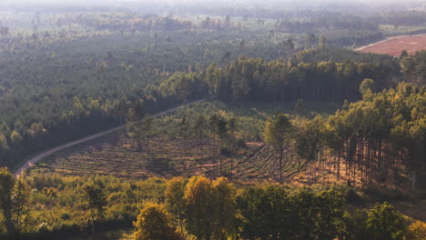 wide aerial of pavilosta region with dense woods and layered golden evening light