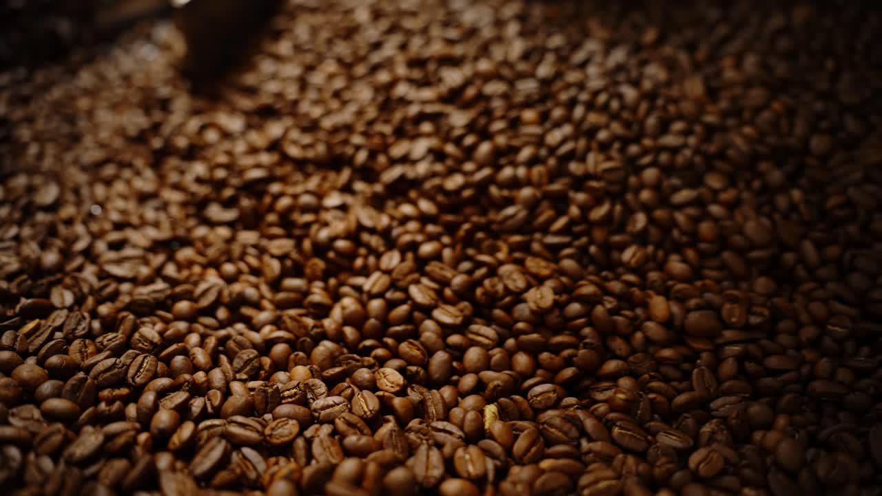 Chicchi di caffè tostati