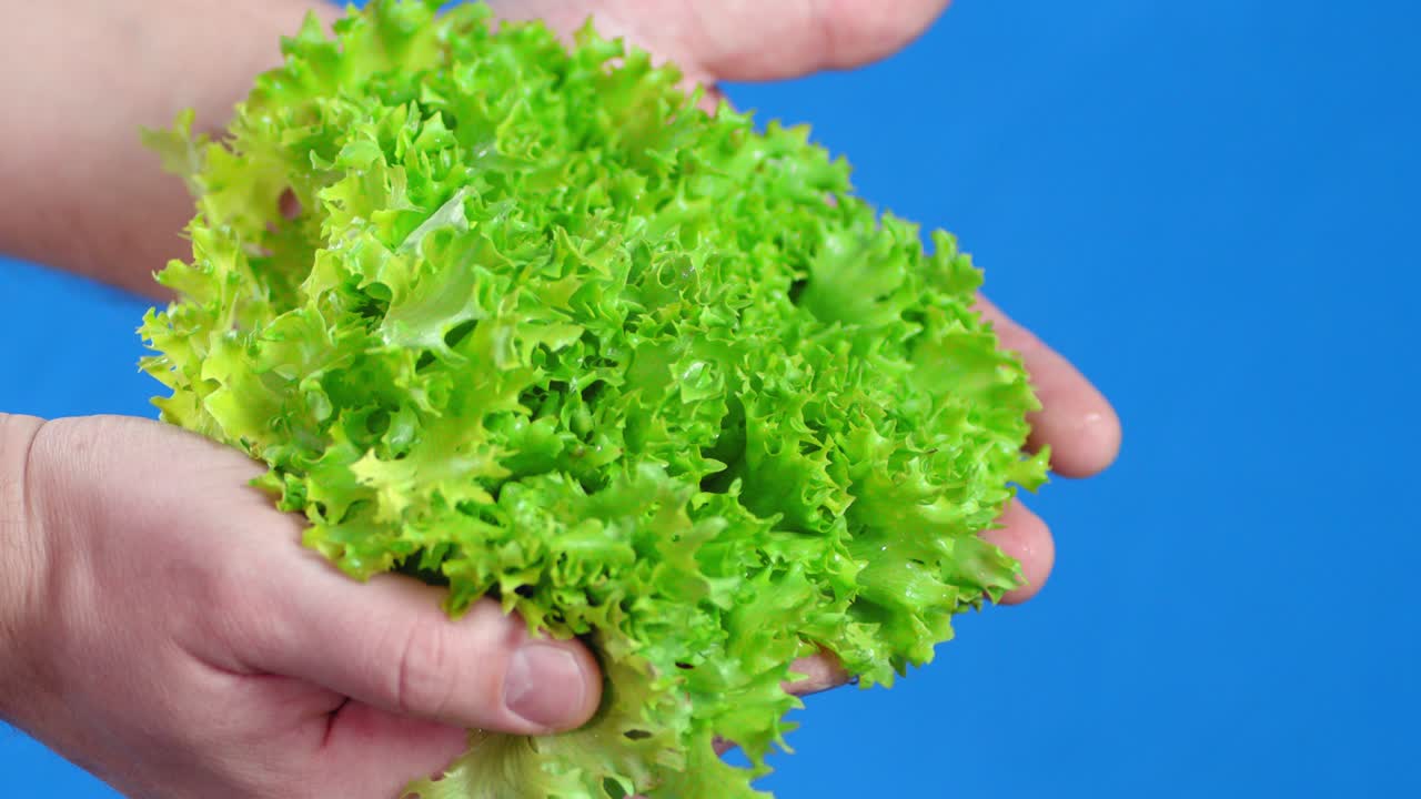 ensalada fresca en las manos de los hombres.