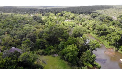 Schnell-Aufsteigende-Luft-über-Dschungelbäume-Und-Fluss-In-Südafrika