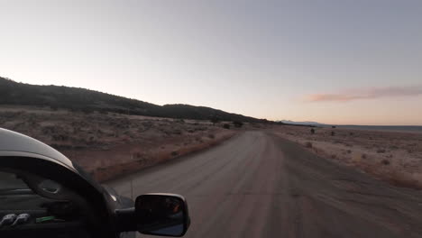venado bura en las llanuras de colorado