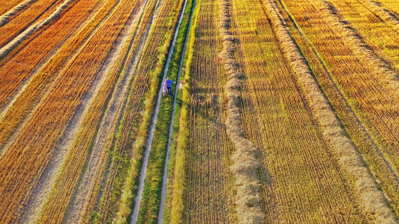 Lovers with a flying kite in a sunny summer day. Young couple having fun with colorful kite in a form of a plane on the field background. Aerial view.