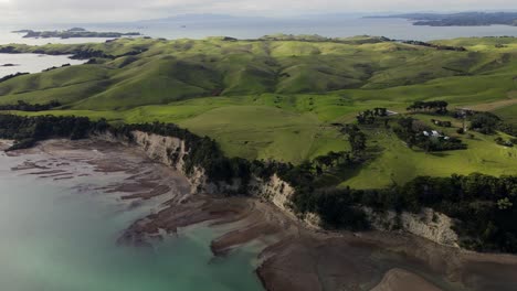 Motutapu-Island,-farmland-with-green-pastures-in-Hauraki-Gulf,-New-Zealand---aerial-drone