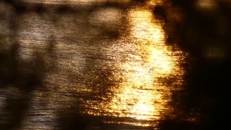 Small-sea-wave,-Blurred-Soft-foamy-waves-washing-golden-pebbled-beach-on-sunset