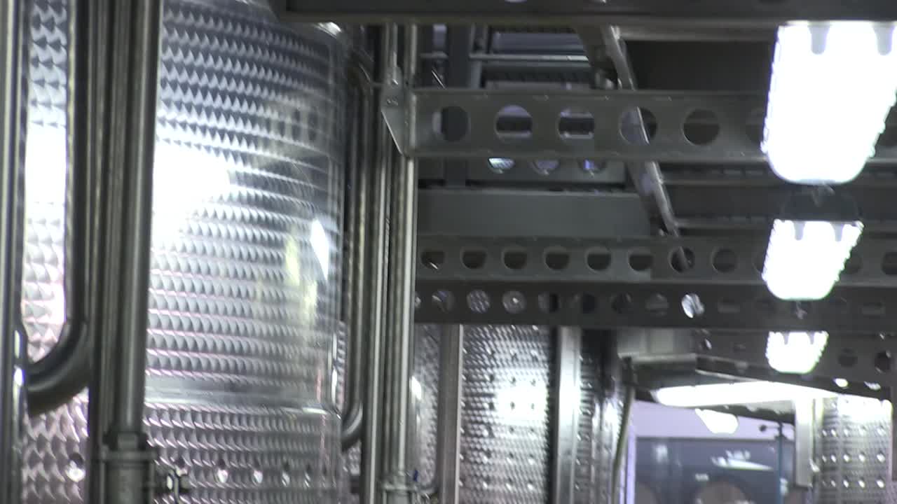 White wine cellar with stainless steel tanks