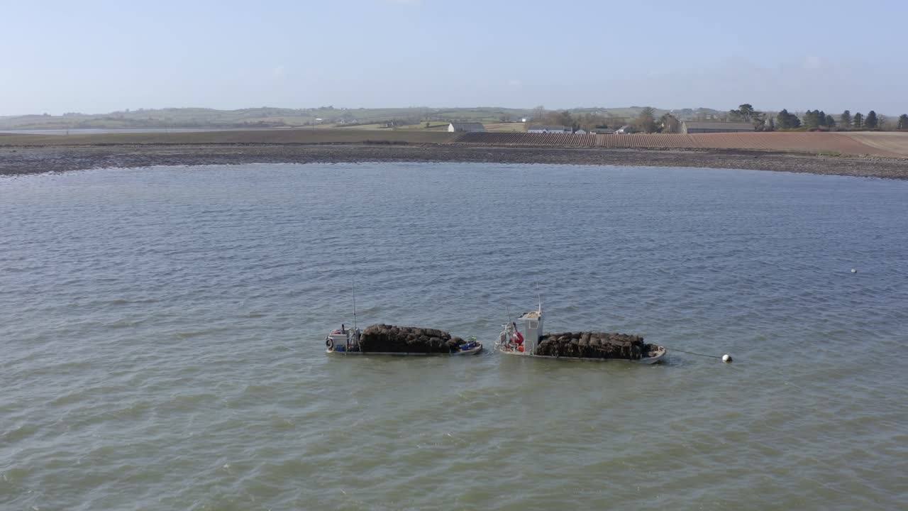 Barche che pescano cozze nel Lough Strangford, Irlanda del Nord.
