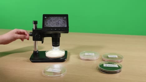 examen de muestras de suelo bajo un microscopio digital