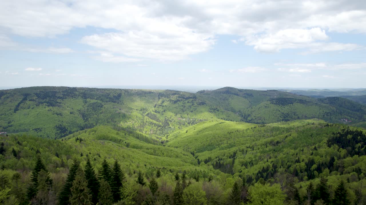 aérea sobre el bosque salvaje europeo en un día nublado