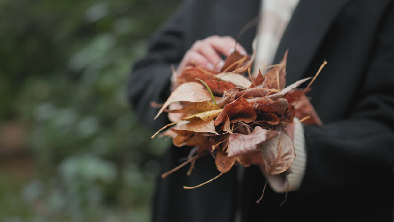 Hand view of autumn visitor holding heap of dry leaves in black coat, cozy sweater cuffs visible, fingers cupping crunchy foliage, outdoor forest path background, seasonal texture and color