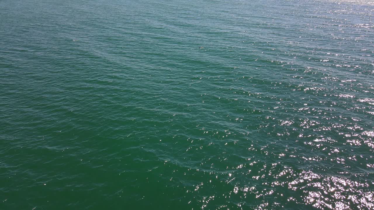 여름에 잔잔한 파도가 있는 푸른 바다의 공중 전망 - 호주 골드 코스트 해안