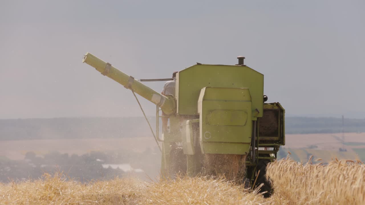 vista de cerca de la parte trasera de una vieja cosechadora verde en el trabajo en un campo de trigo en cámara lenta