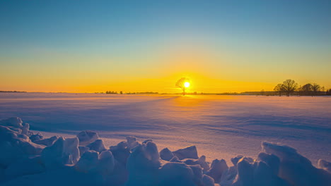 vivid sunset on snow covered countryside, sundown behind silhouette tree, timelapse