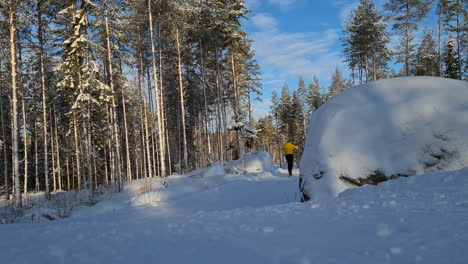 Person-cross-country-skiing-through-majestic-winter-forest,-static-shot