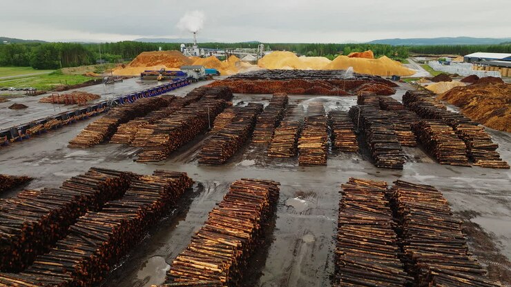 Acqua che spruzza su pile di legno nel deposito di legname in Norvegia.