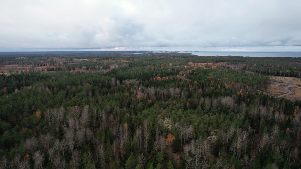 High aerial panorama near Öregrund, Sweden, sliding right while slowly rotating over autumn forest and the Baltic Sea coastline
