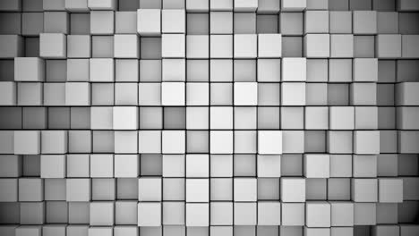 the mosaic background, consisting of differently colored cubes, gently wavers.