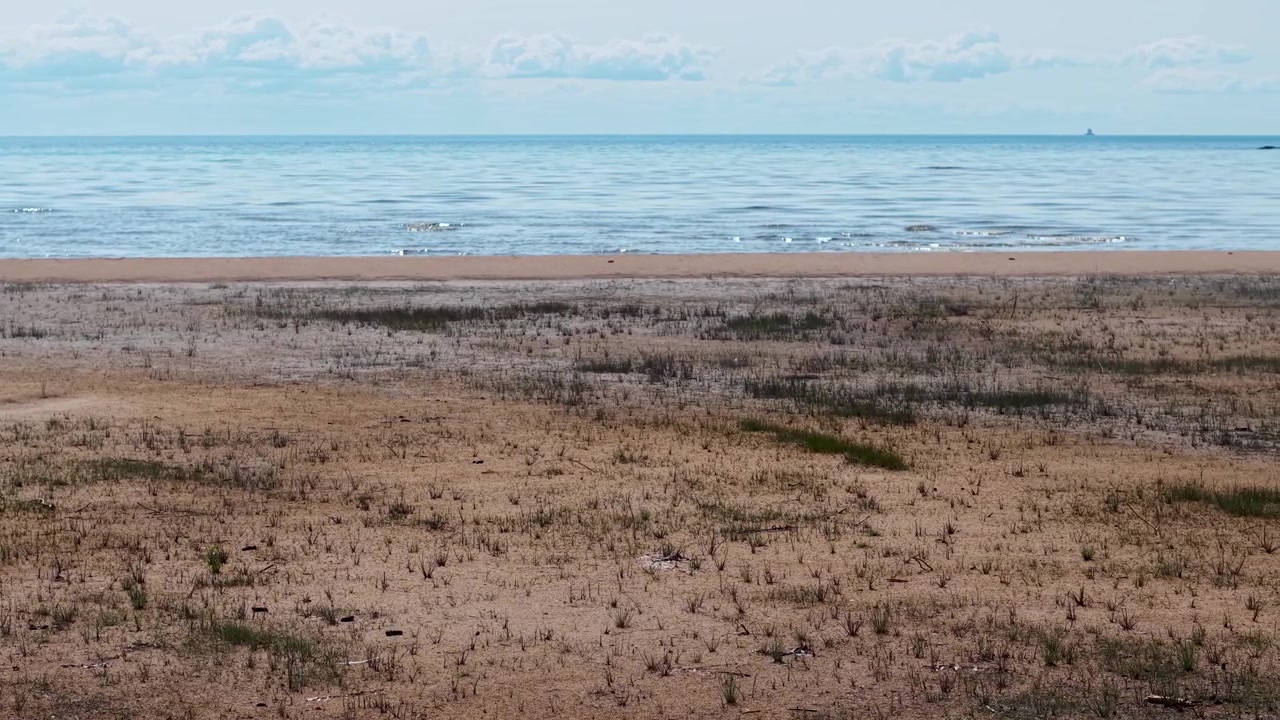 Droneoptagelser af en fredfyldt sandstrand nær en rolig sø med øer, der viser natur og vildmark ved Hessel, Michigan.