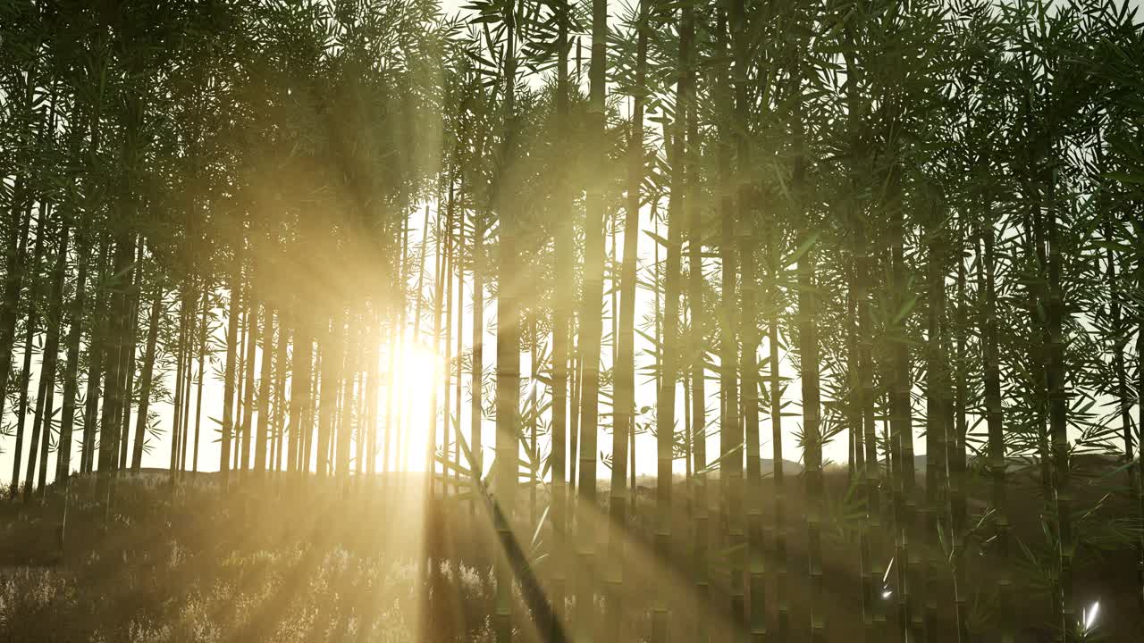 언덕 에 있는 초록색 대나무 숲