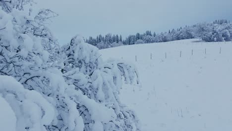 un terreno agrícola cubierto de nieve en indre fosen, condado de trondelag, noruega - tiro de retroceso