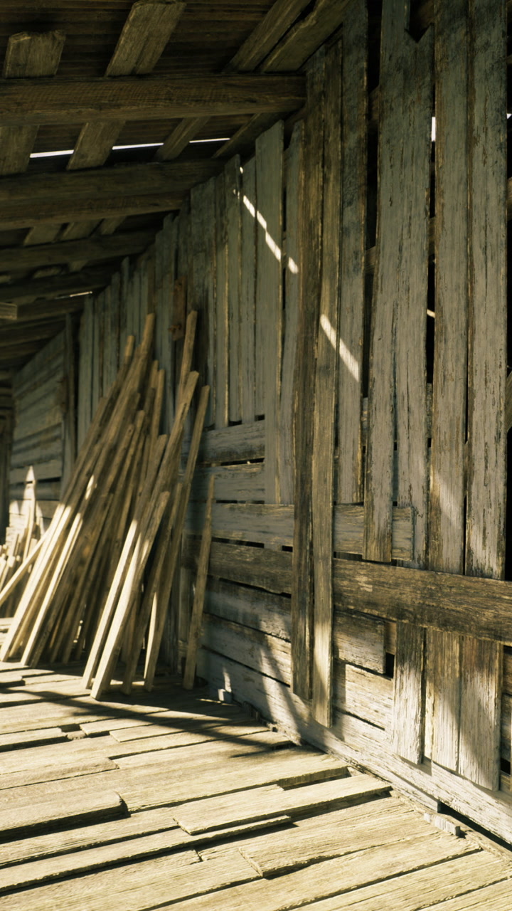 Sunlight dances on weathered wood in a rustic shed filled with timber
