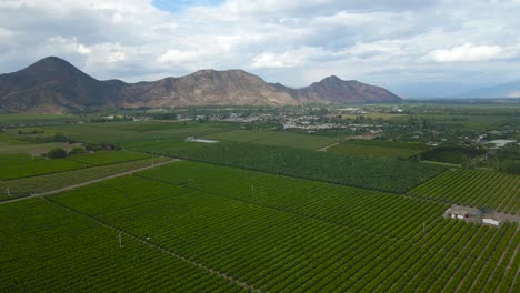 Aerial-pan-right-of-green-farm-fields,-mountains-in-background,-on-a-cloudy-day,-Cachapoal-Valley,-south-of-Santiago,-Chile