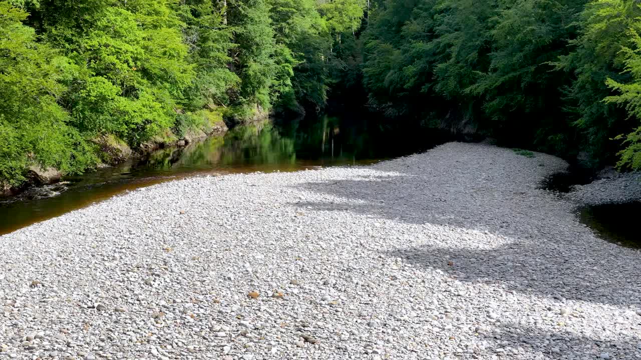 Camera slowly pans across peaceful river bend, lush green forest, and rocky shoreline in sunlight