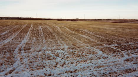 aerial view of a frozen farmer's field covered with snow in southern alberta, canada
