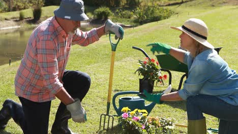 senior couple gardening