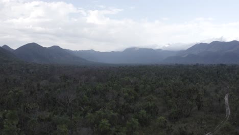 Imagen-De-Dron-De-Rango-Amolar-Que-Muestra-El-Bosque-Recuperándose-Del-Fuego---Imagen-Siguiendo-El-Bosque