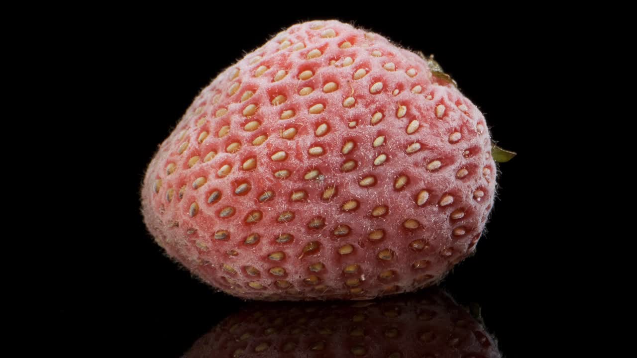 흑색 유리 위에 신선한 딸기를 냉동하는 과정: 반사, 딸기가 얼음으로 여있다, 시간 스, 클로즈업, 얼음 식품 절차