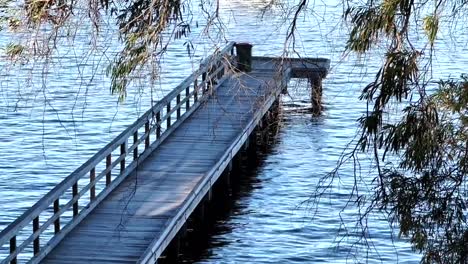 looking through branches of long jetty on swan river at peppermint grove, perth, western australia