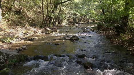 limpio, río de montaña