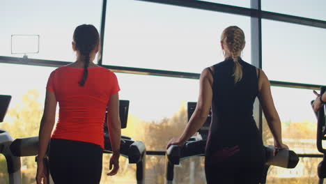 a group of people walking on treadmills near a large panoramic window. group cardio workout. start of fitness classes. young beautiful women and men in sportswear in cardio fitness room.