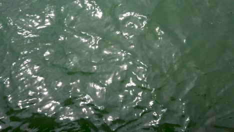 las olas del océano verde ondularon el agua con el reflejo del sol