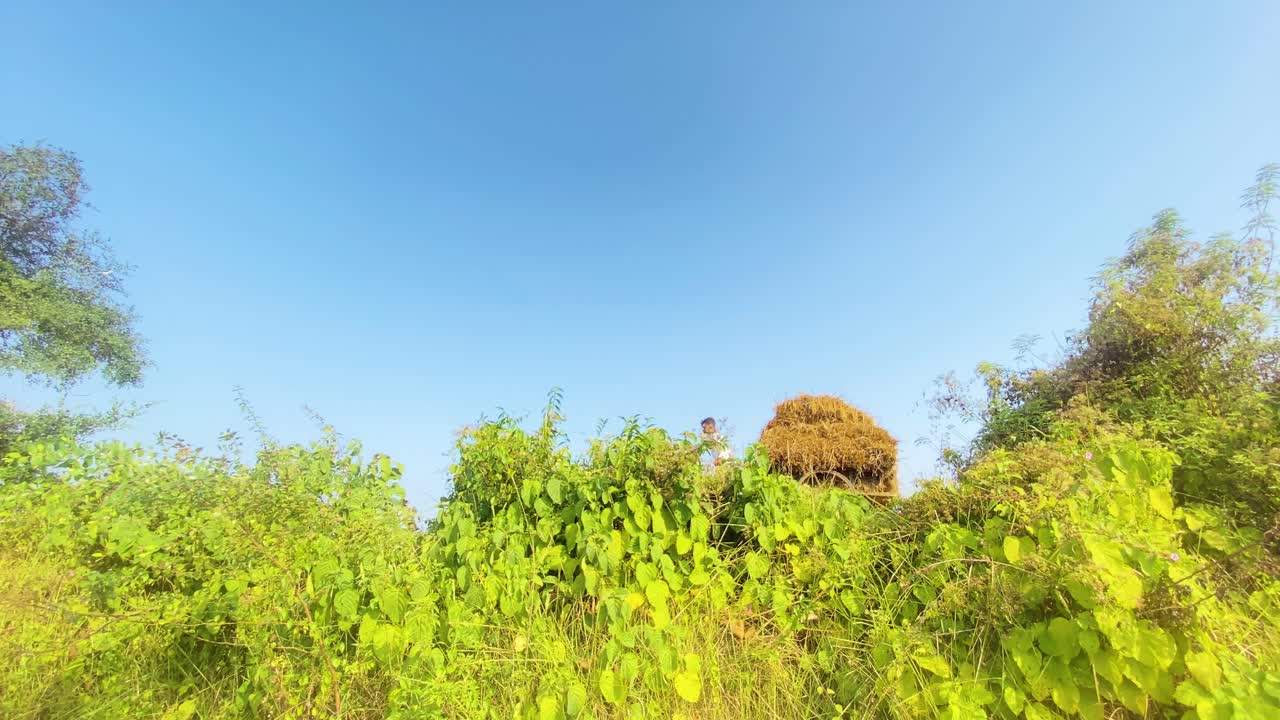 농부 는 빛 이 있는 날 에  을 고 있는 마차 를 끌고 있다