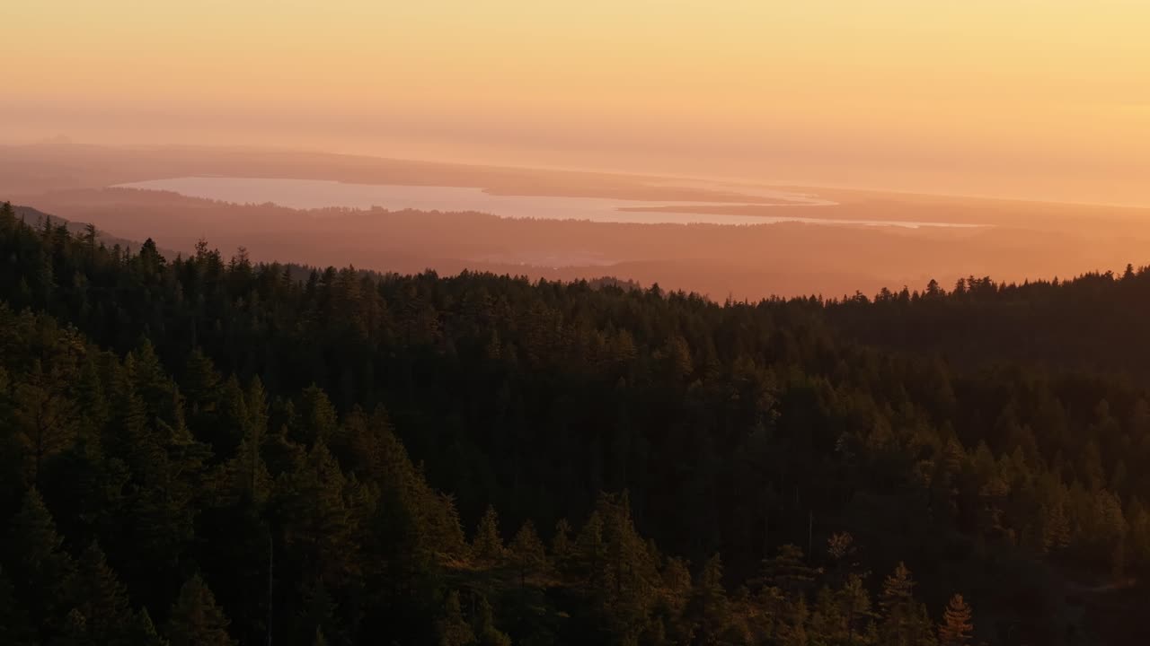 Sunset over California forest, serene mood, warm glow in the sky