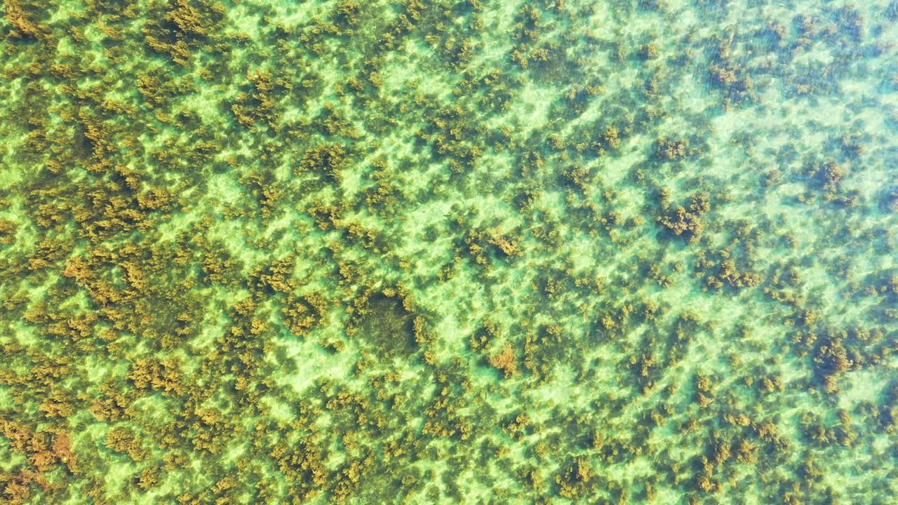 coral reef in calm weather flat water and incredible colorful turquoise sea. Aerial high angle