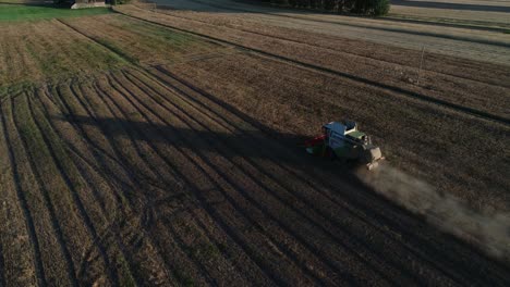 Luftaufnahme-Des-Sonnenuntergangs-Der-Erntemaschine,-Die-Auf-Einem-Lupinenfarmfeld-Arbeitet