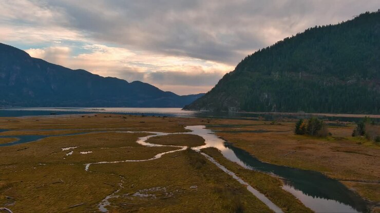 Montagne, acqua e alberi a Howe Sound