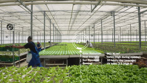 ar hologram statistics over certified organic eco friendly farm crops