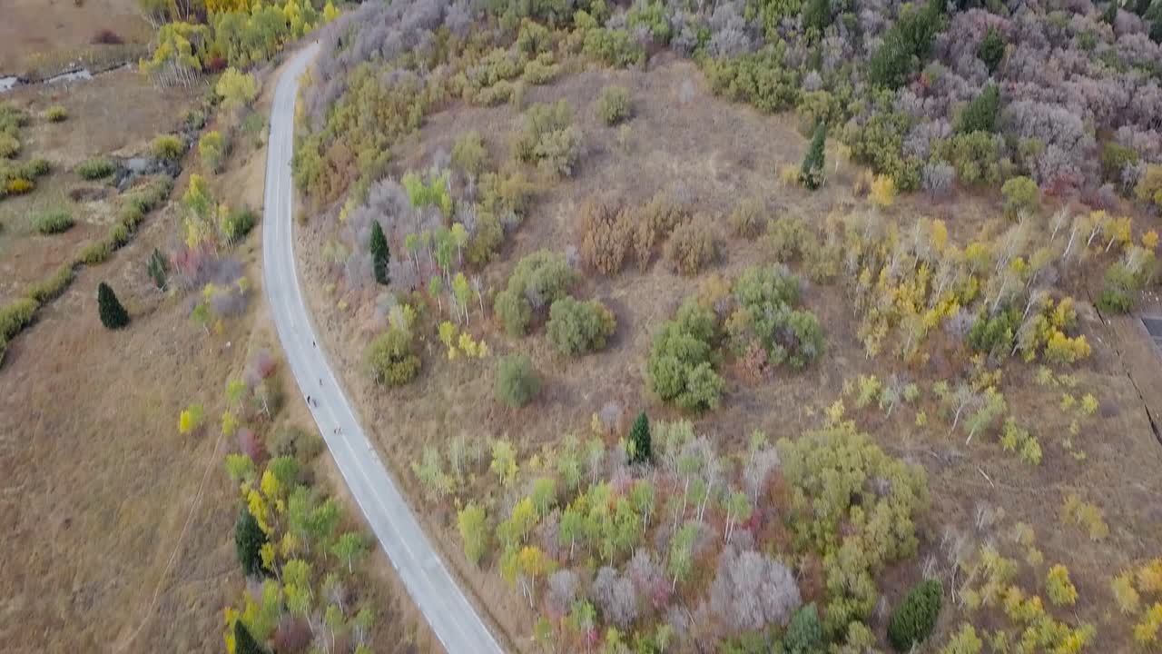hermosa gran vista sobre una vía pública y una vista de gran angular sobre bosques de hoja perenne y álamo temblón en la cuenca de nieve utah - inclinación aérea del carro