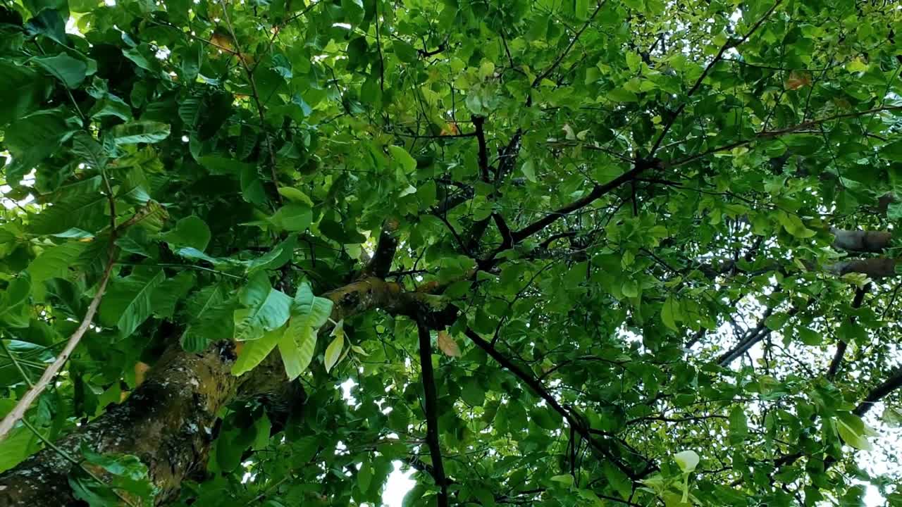 숲에서 길을 잃다