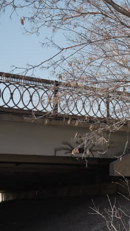 close view of a bridge with decorative iron railing and bare trees in the foreground, a pedestrian walks across the bridge