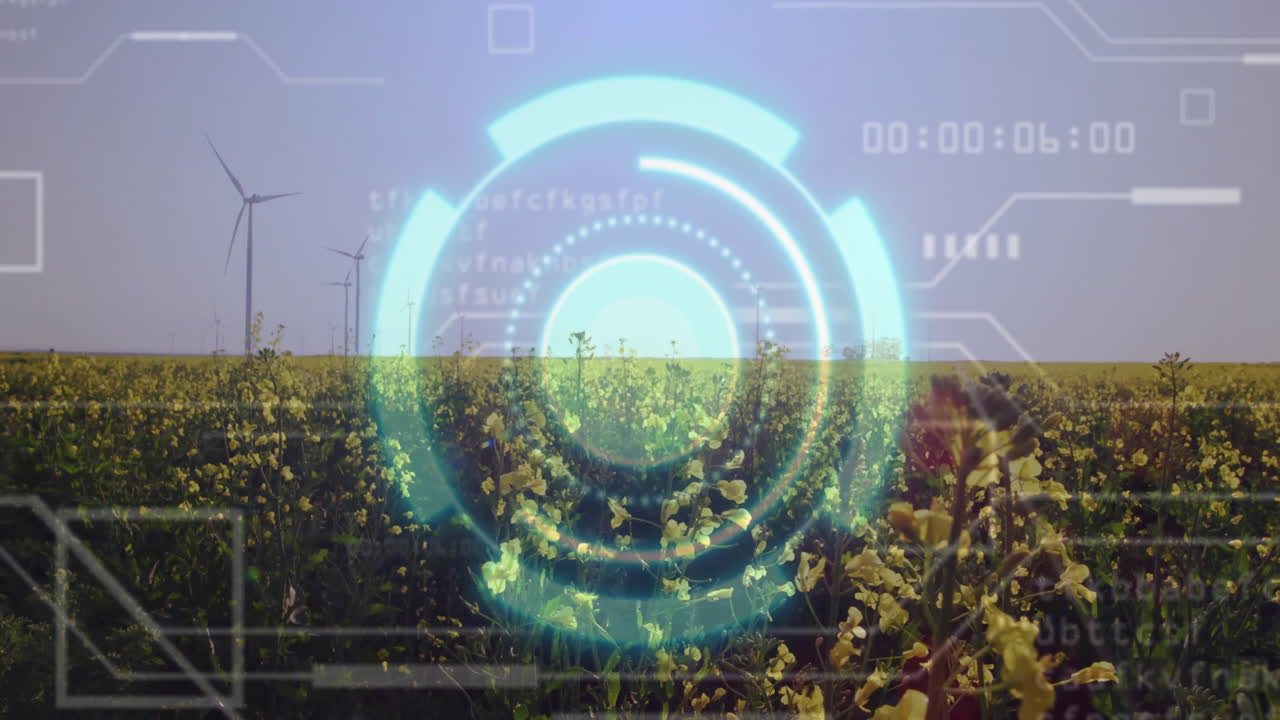Visualizing futuristic teal 3D HUD tracking wind energy output over rapeseed field