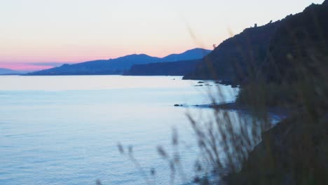 dry grass near the coastline during sunset, changing focus to the background