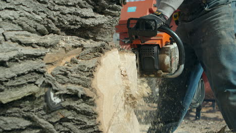 Primer-Plano-De-Una-Motosierra-Que-Se-Trabaja-A-Través-De-Parte-Del-Tronco-De-Un-árbol